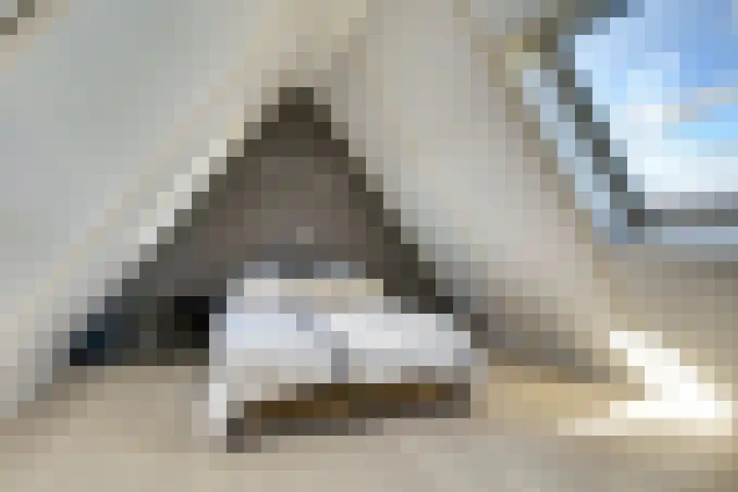 Tuinderspad 3 Schermerhorn thumbnail 30
