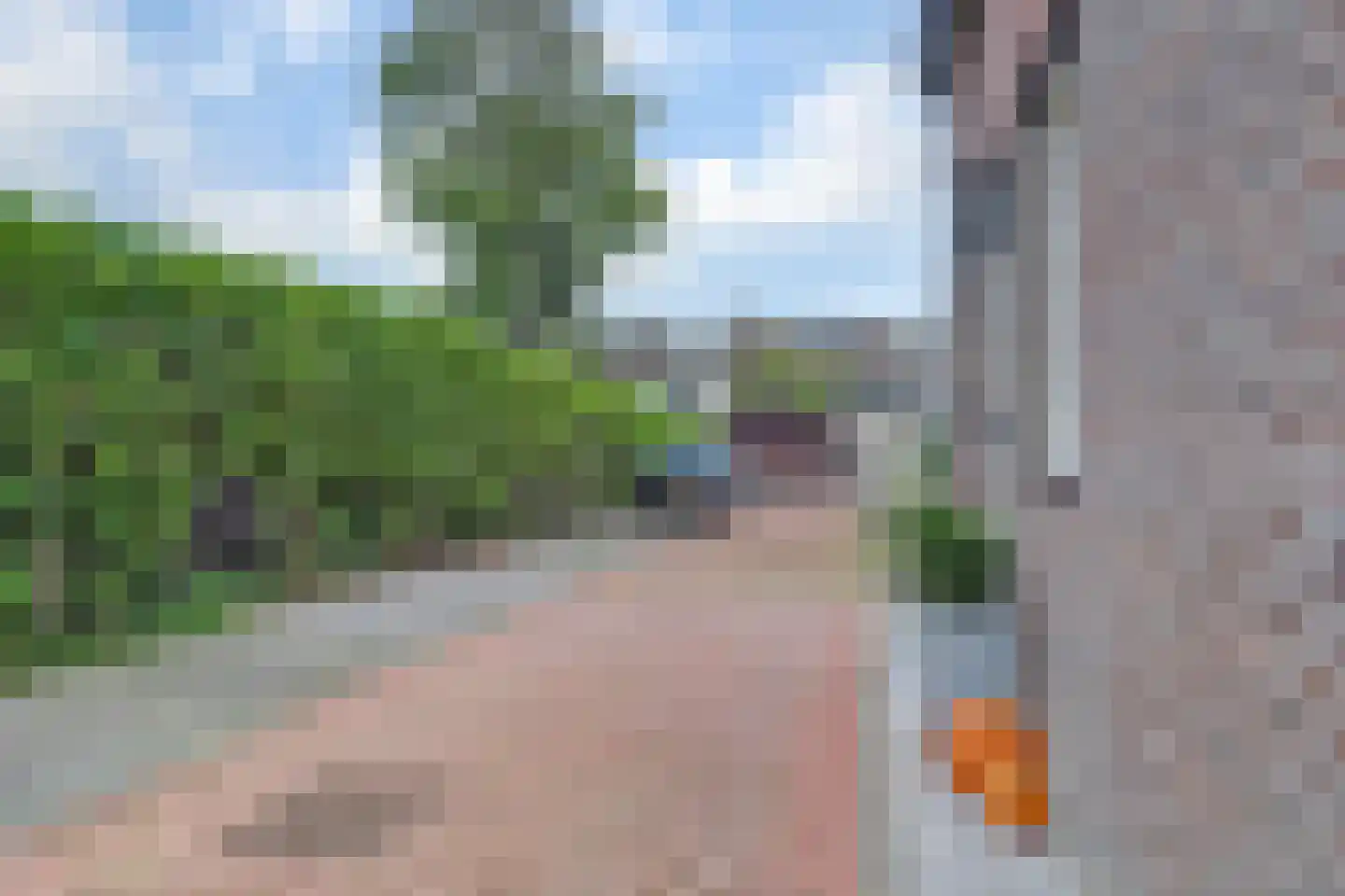 Tuinderspad 3 Schermerhorn thumbnail 34