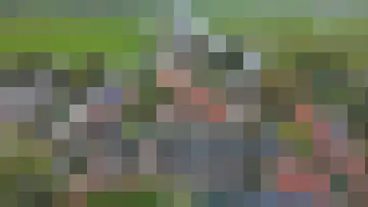 Tuinderspad 3 Schermerhorn thumbnail 36