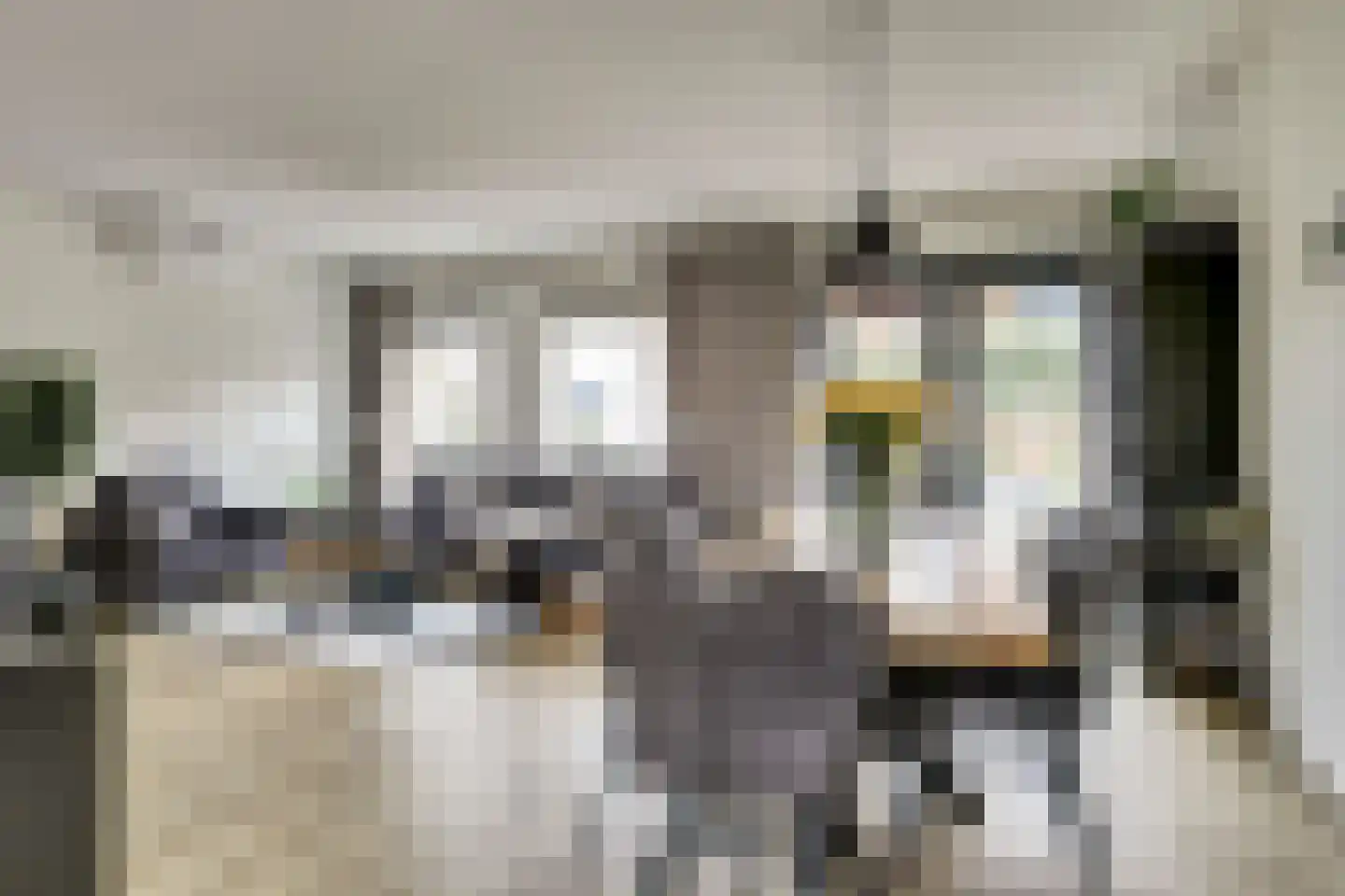 Tuinderspad 3 Schermerhorn thumbnail 4