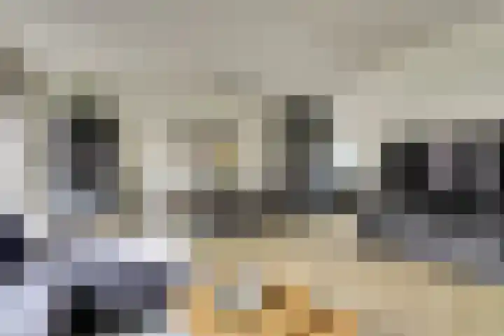 Tuinderspad 3 Schermerhorn thumbnail 5
