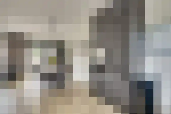 Tuinderspad 3 Schermerhorn thumbnail 9
