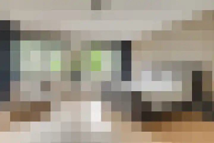 Tuinderspad 32 Alkmaar thumbnail 16