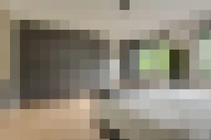 Tuinderspad 32 Alkmaar thumbnail 18