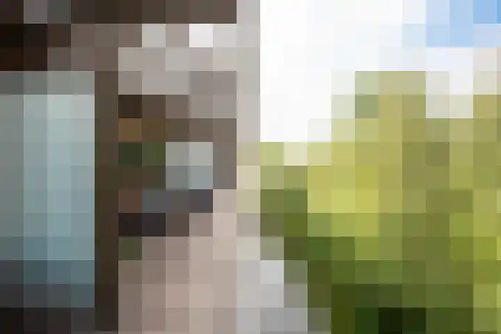 Tuinderspad 32 Alkmaar thumbnail 25