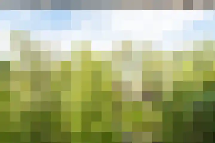 Tuinderspad 32 Alkmaar thumbnail 26