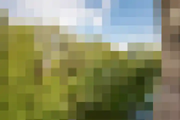 Tuinderspad 32 Alkmaar thumbnail 27