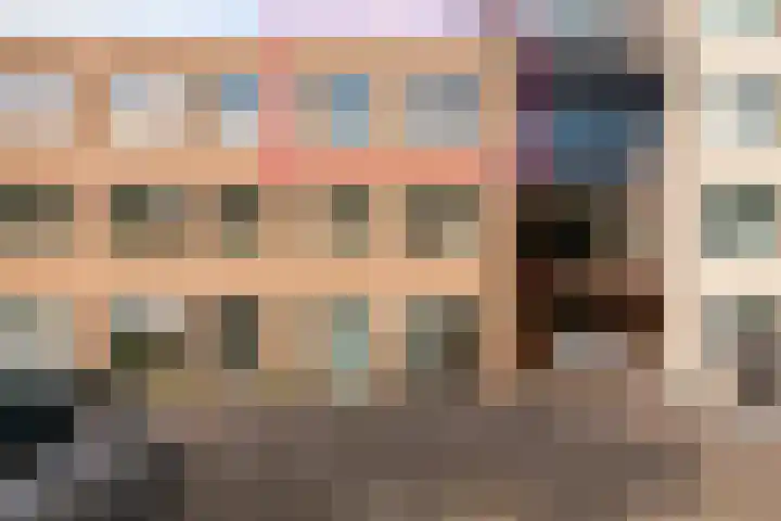 Tuinderspad 32 Alkmaar thumbnail 31