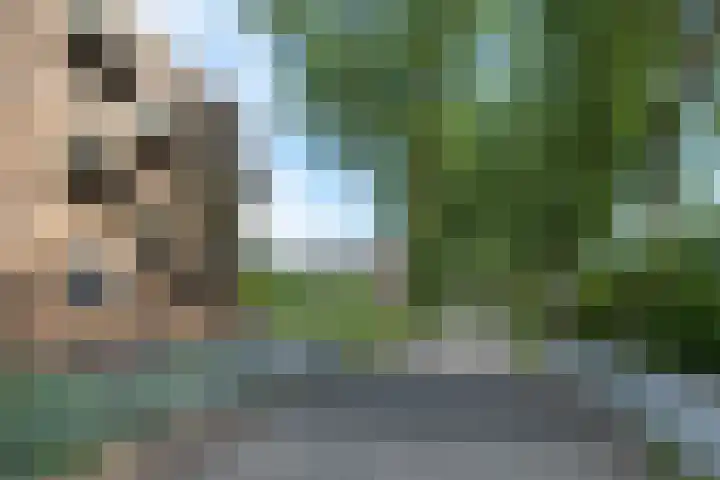 Tuinderspad 32 Alkmaar thumbnail 32