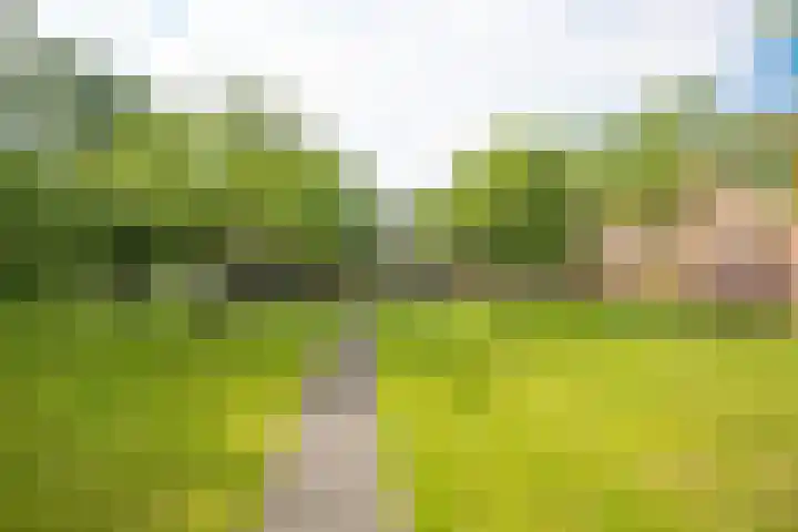 Tuinderspad 32 Alkmaar thumbnail 33