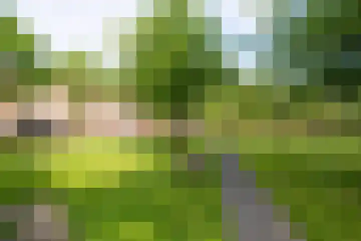 Tuinderspad 32 Alkmaar thumbnail 34