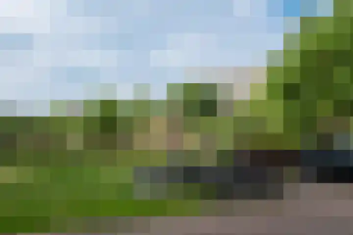 Tuinderspad 32 Alkmaar thumbnail 36