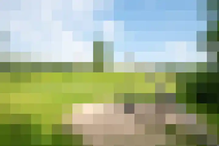 Tuinderspad 32 Alkmaar thumbnail 37