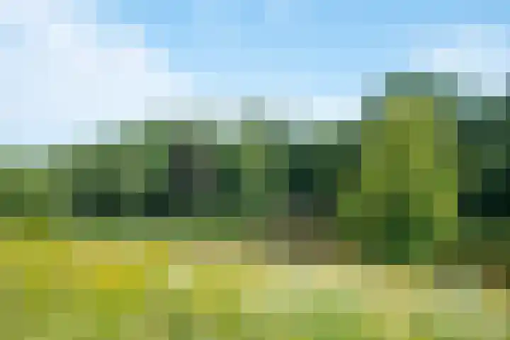 Tuinderspad 32 Alkmaar thumbnail 38