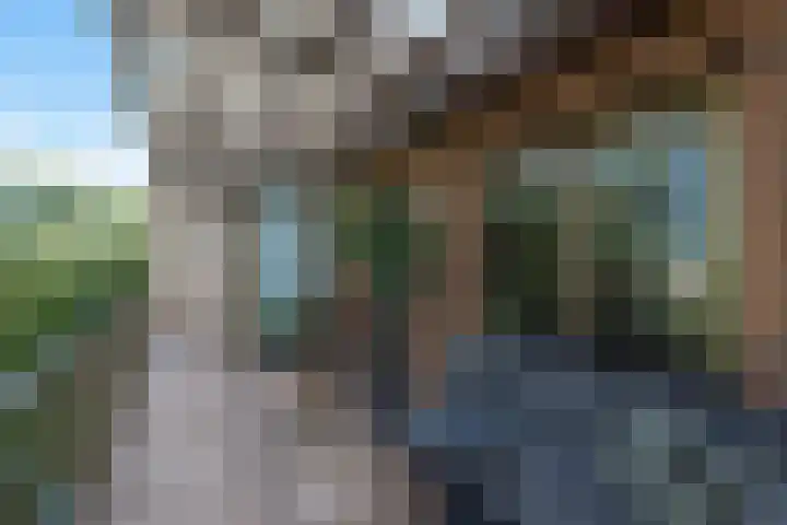 Tuinderspad 32 Alkmaar thumbnail 6