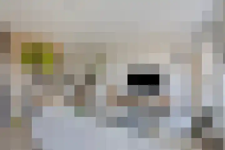 Tuinderspad 35 Alkmaar thumbnail 10