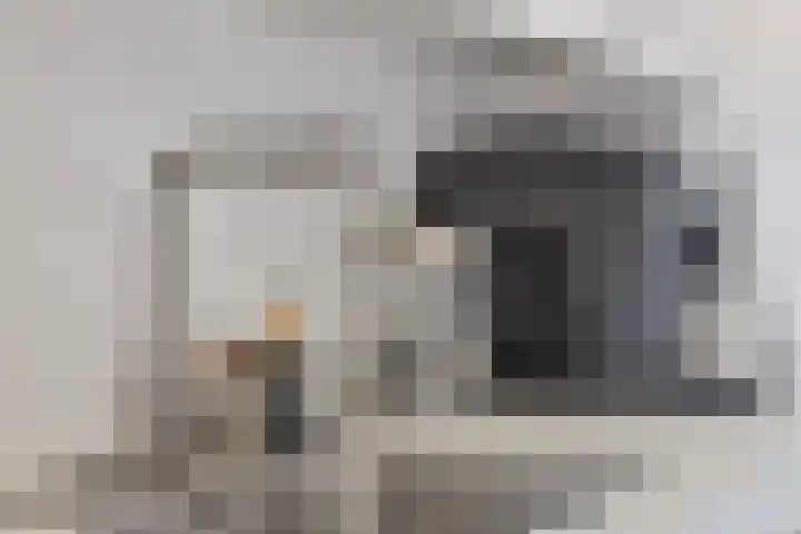 Tuinderspad 35 Alkmaar thumbnail 14