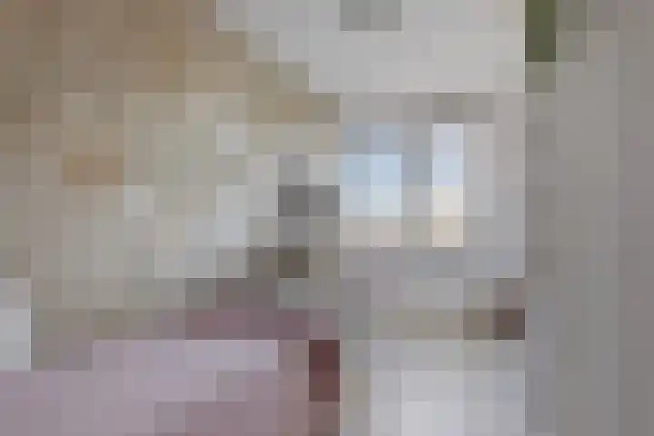Tuinderspad 35 Alkmaar thumbnail 16
