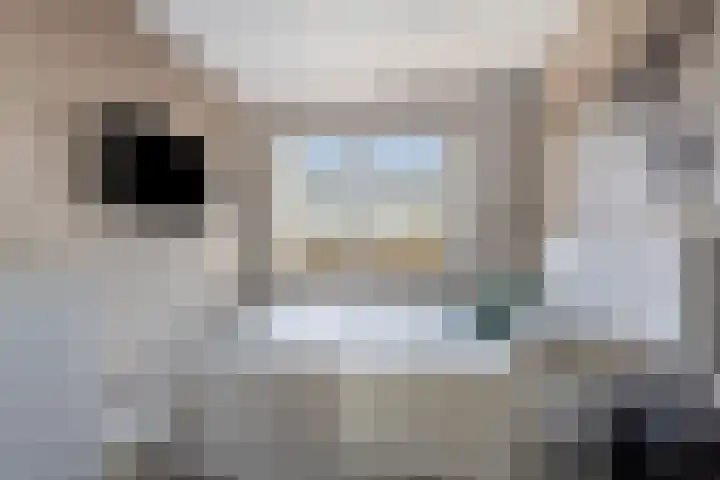 Tuinderspad 35 Alkmaar thumbnail 22