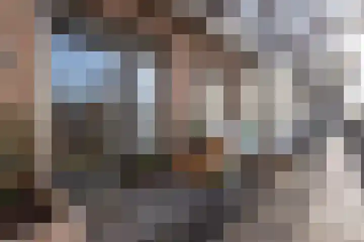 Tuinderspad 35 Alkmaar thumbnail 25