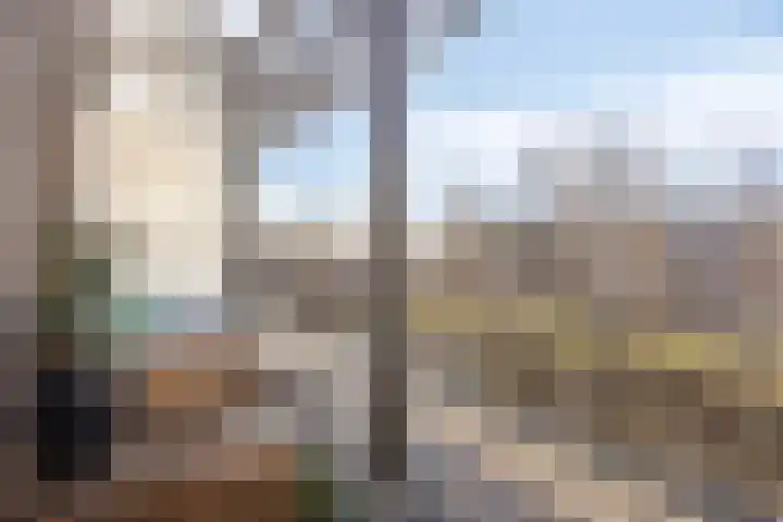 Tuinderspad 35 Alkmaar thumbnail 26