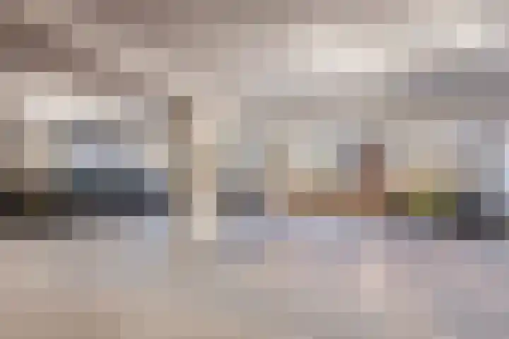 Tuinderspad 35 Alkmaar thumbnail 29