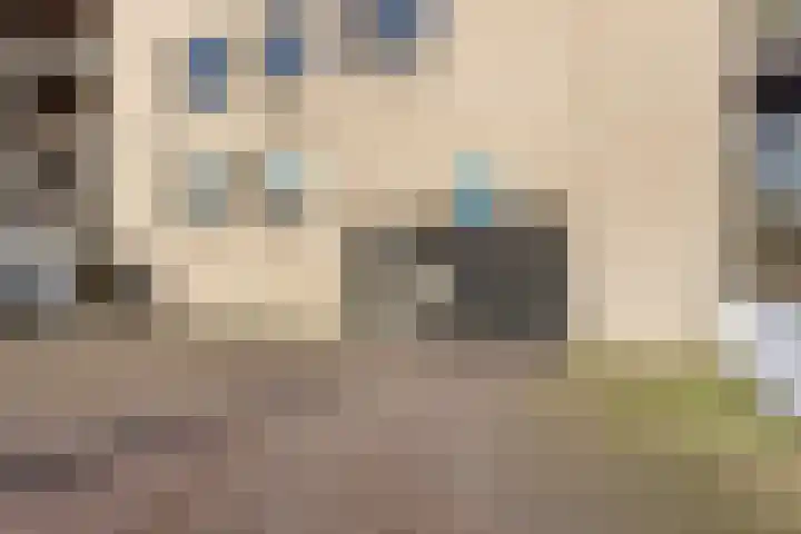 Tuinderspad 35 Alkmaar thumbnail 30