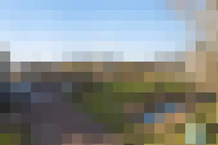 Tuinderspad 35 Alkmaar thumbnail 31