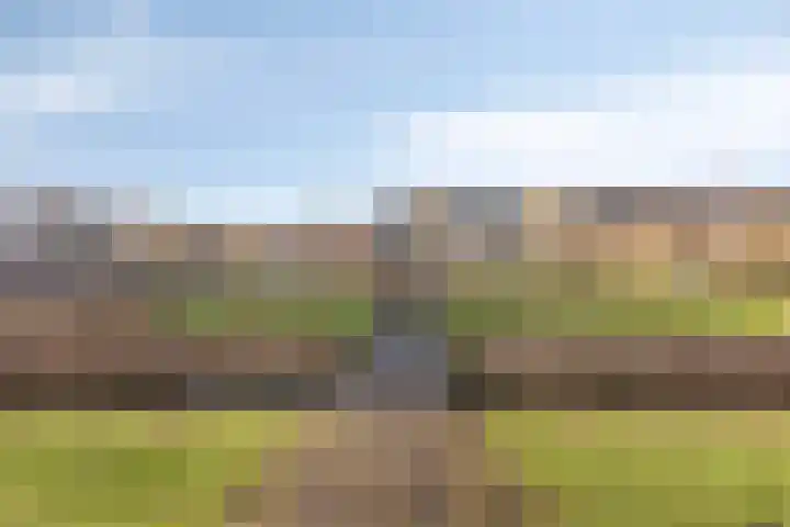 Tuinderspad 35 Alkmaar thumbnail 32