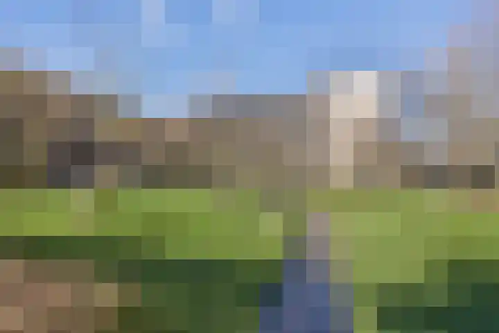 Tuinderspad 35 Alkmaar thumbnail 33