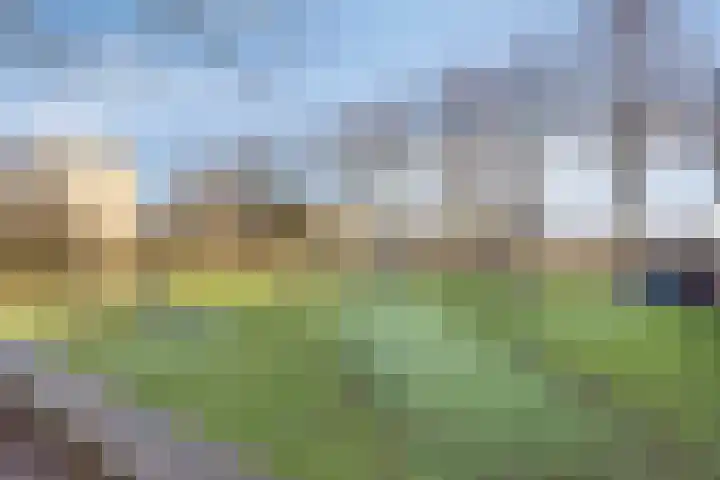 Tuinderspad 35 Alkmaar thumbnail 34