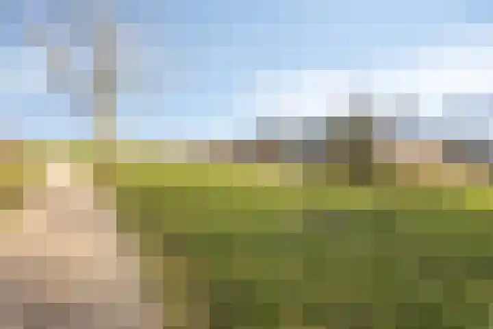Tuinderspad 35 Alkmaar thumbnail 35