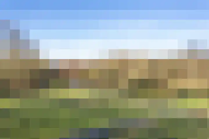 Tuinderspad 35 Alkmaar thumbnail 36