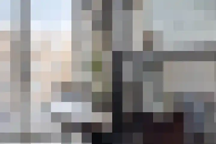 Tuinderspad 35 Alkmaar thumbnail 6