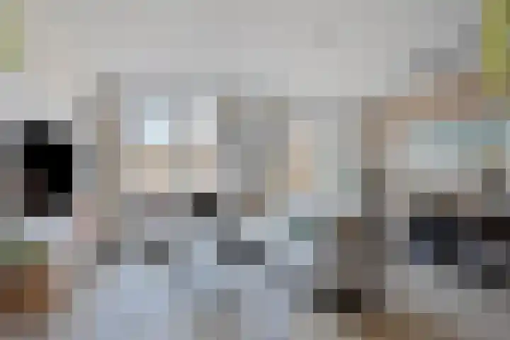 Tuinderspad 35 Alkmaar thumbnail 8