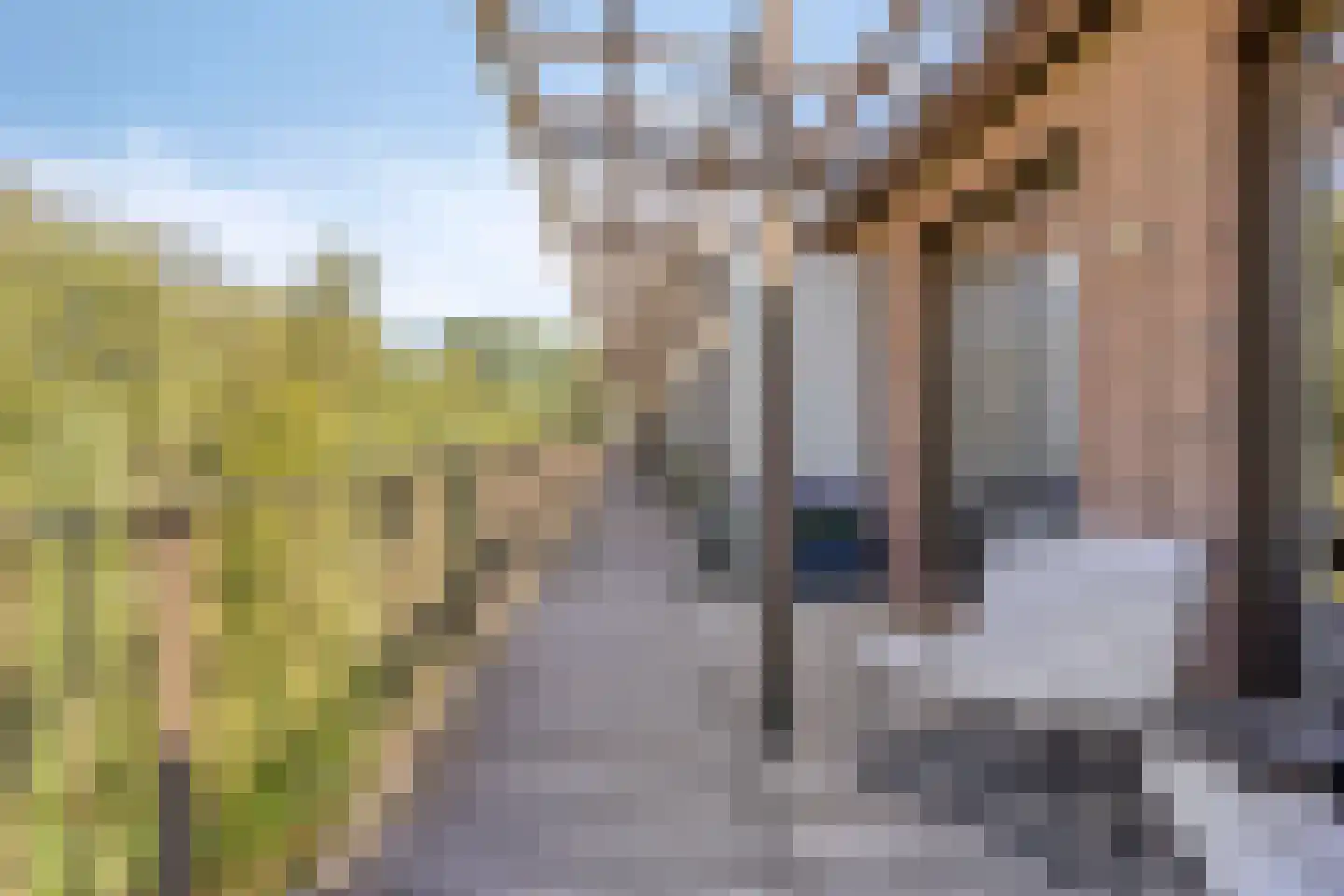 Tuinderspad 37 Alkmaar thumbnail 20