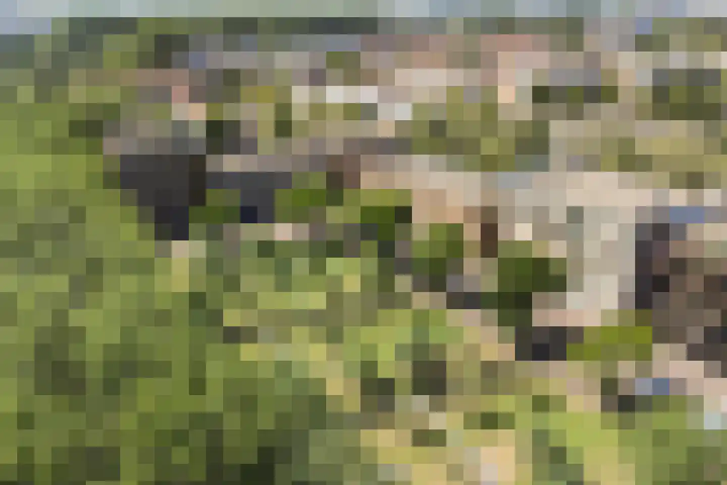 Tuinderspad 37 Alkmaar thumbnail 21