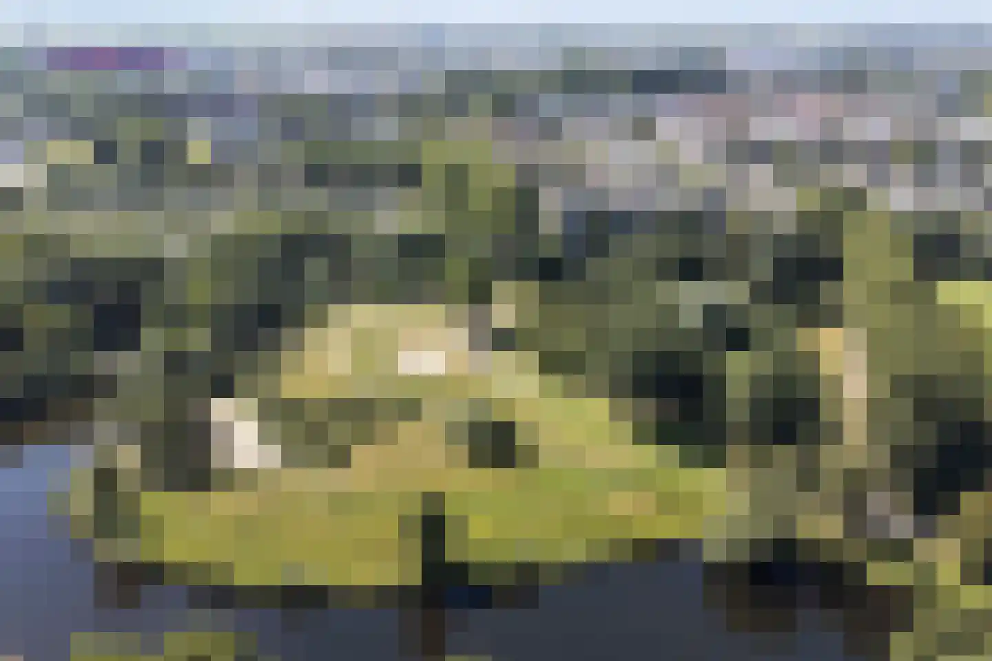 Tuinderspad 37 Alkmaar thumbnail 23