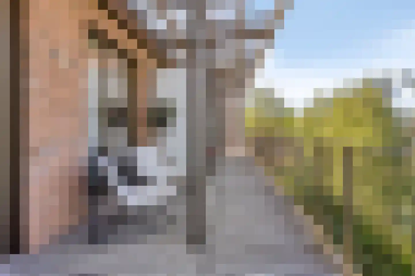 Tuinderspad 37 Alkmaar thumbnail 5