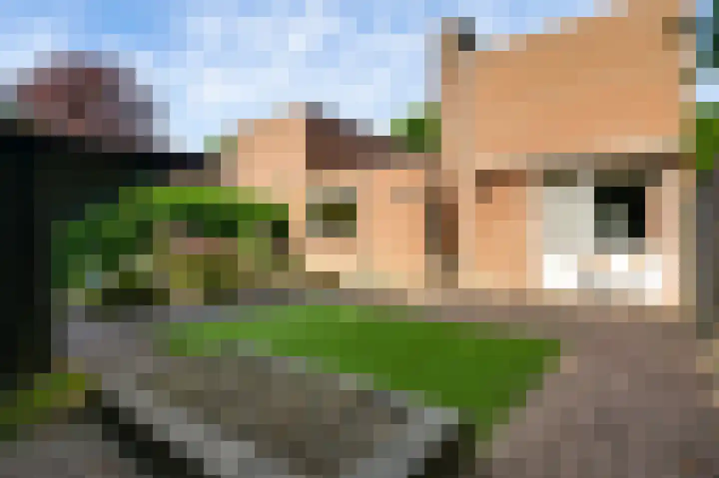 Tuinderstraat 1 Weert thumbnail 4