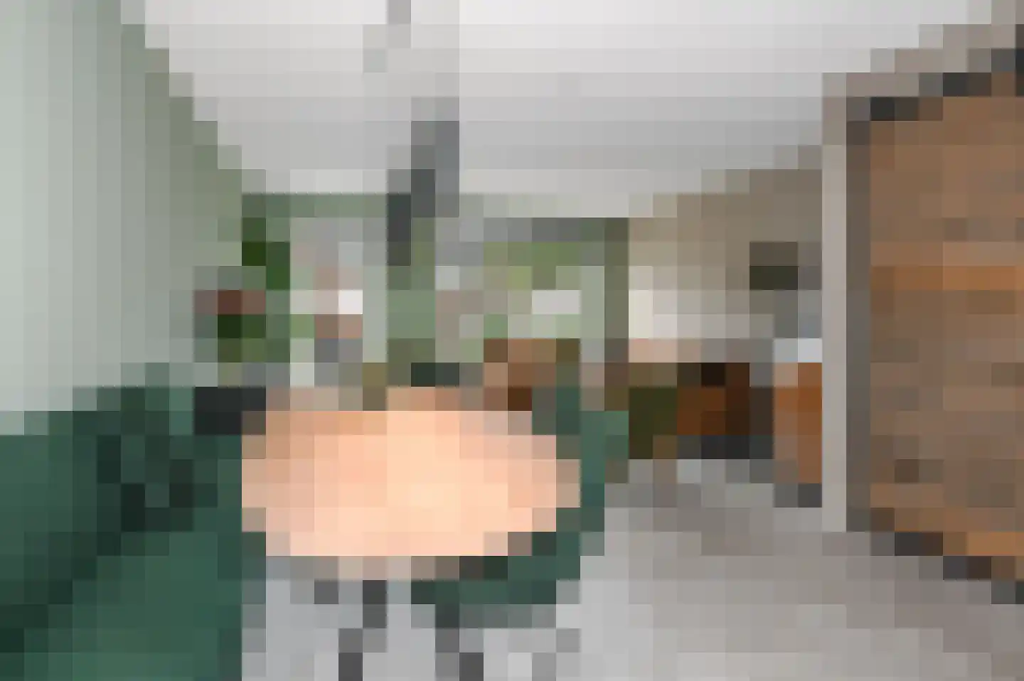 Tuindersweg 117 A Maasdijk thumbnail 13
