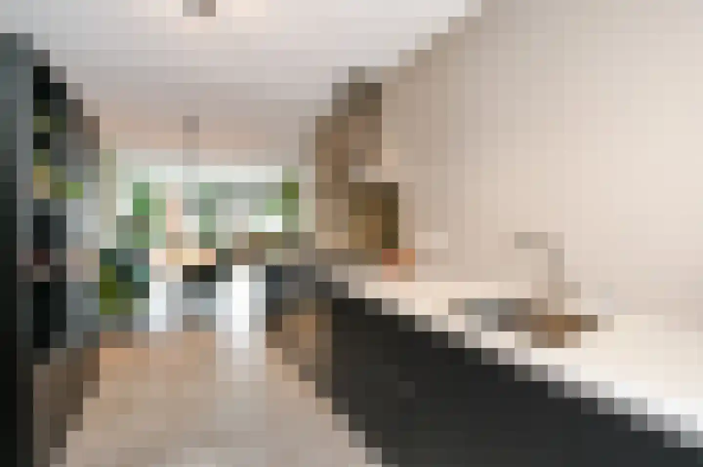 Tuindersweg 117 A Maasdijk thumbnail 15