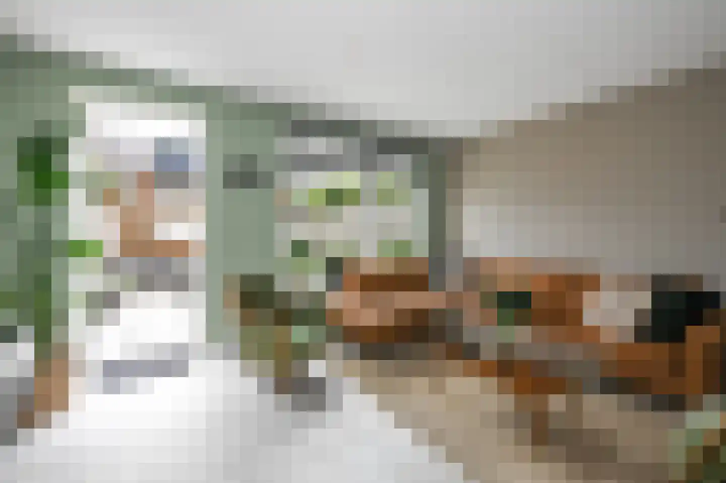 Tuindersweg 117 A Maasdijk thumbnail 7