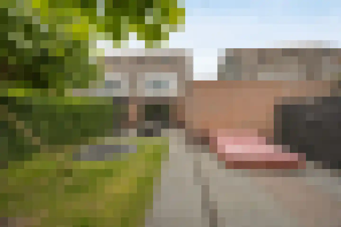 Tuindersweg 16 Etten-Leur thumbnail 42