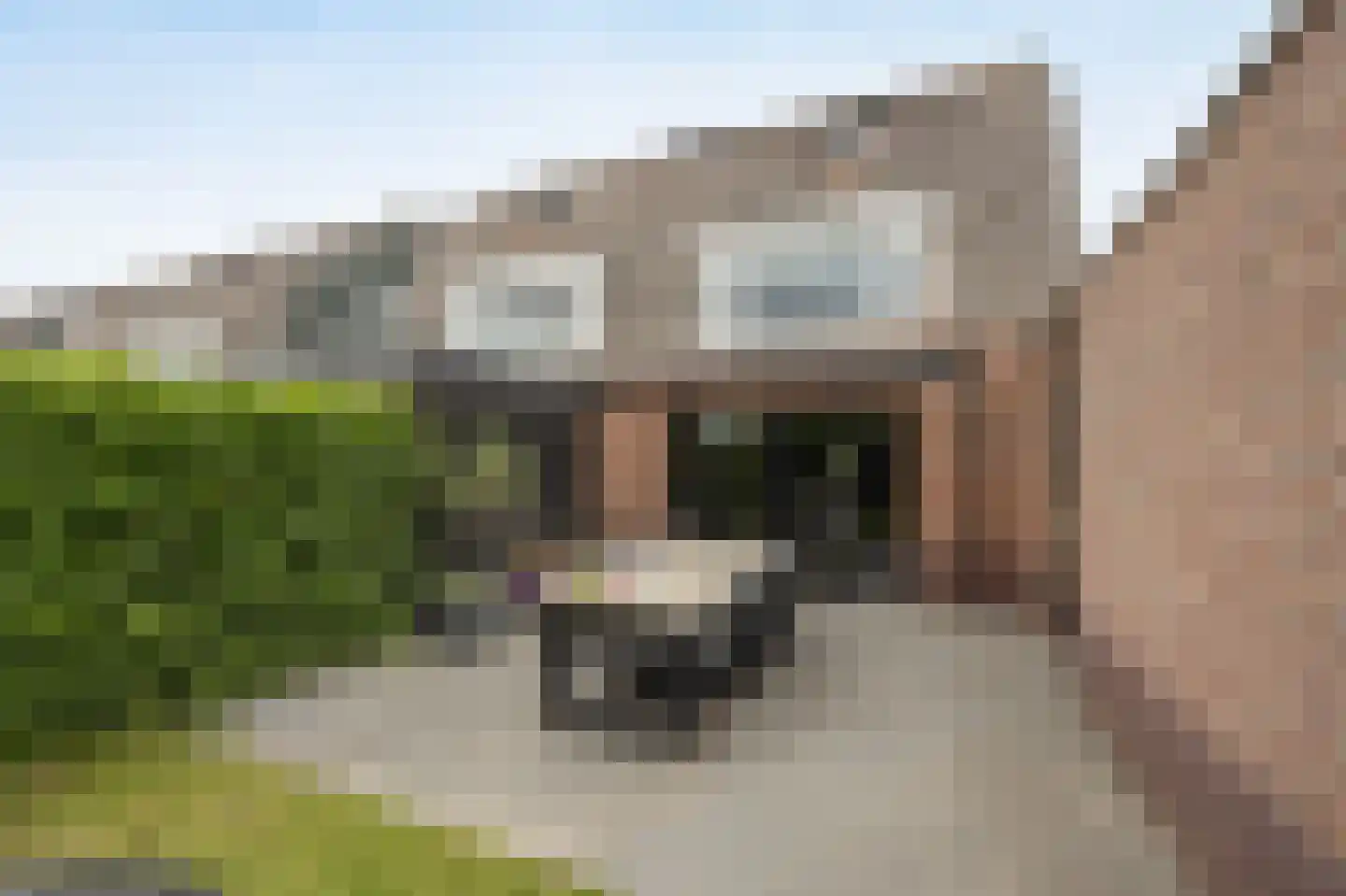 Tuindersweg 16 Etten-Leur thumbnail 44