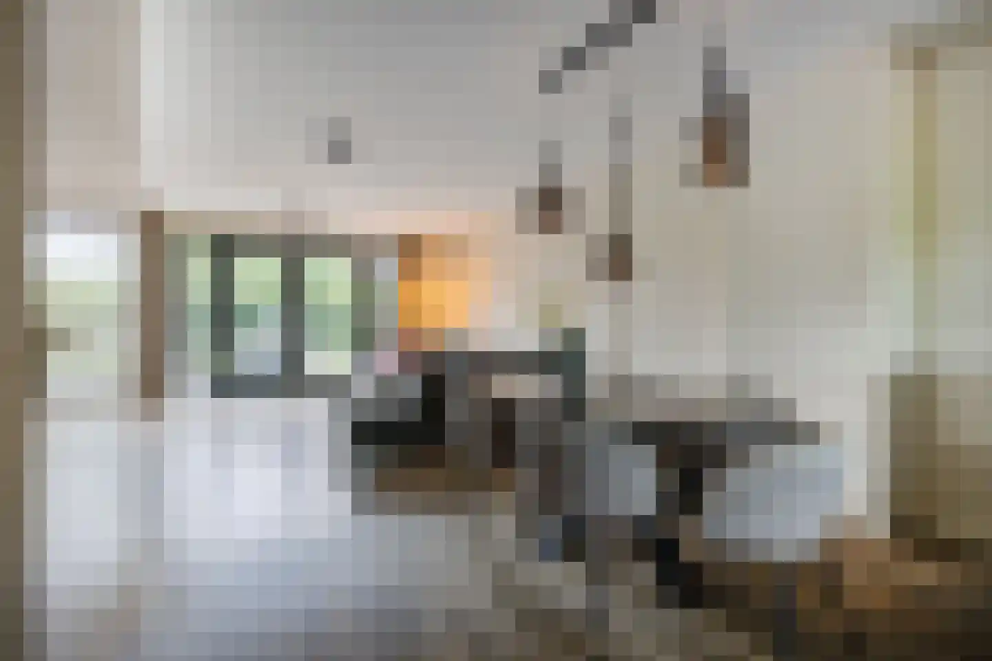 Tuindersweg 16 Etten-Leur thumbnail 8
