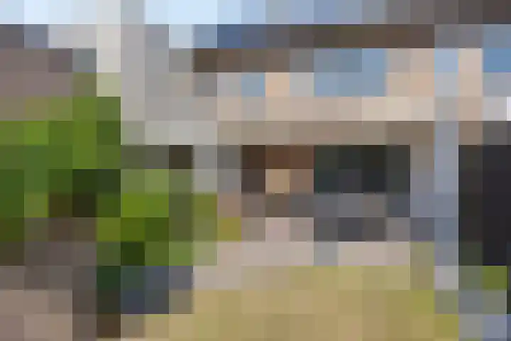 Tuindersweg 28 Mariahout thumbnail 56