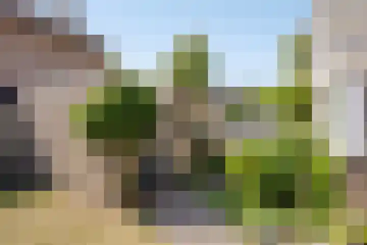 Tuindersweg 28 Mariahout thumbnail 58