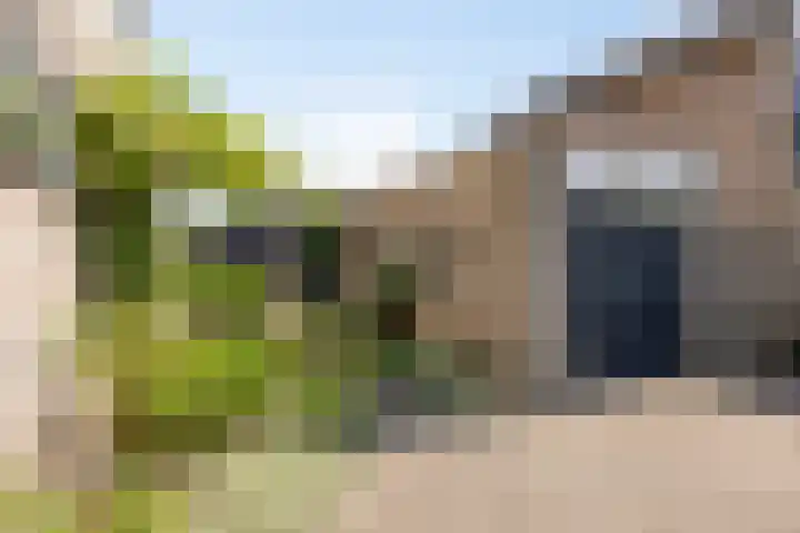 Tuindersweg 28 Mariahout thumbnail 59