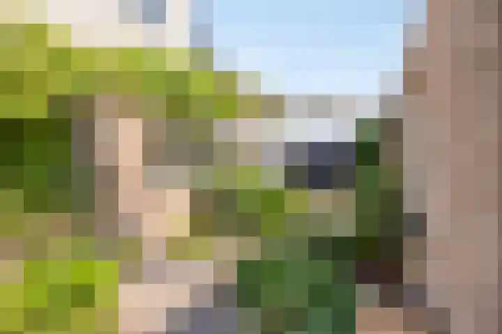 Tuindersweg 28 Mariahout thumbnail 60